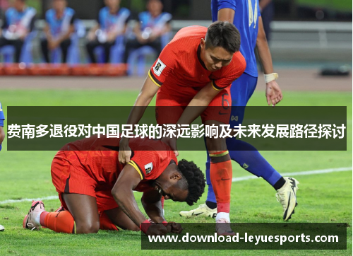 费南多退役对中国足球的深远影响及未来发展路径探讨