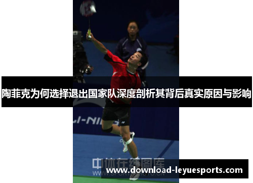 陶菲克为何选择退出国家队深度剖析其背后真实原因与影响