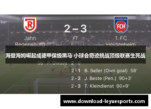 海登海姆崛起成德甲保级黑马 小球会奇迹挑战顶级联赛生死战