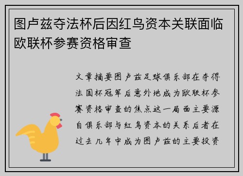 图卢兹夺法杯后因红鸟资本关联面临欧联杯参赛资格审查